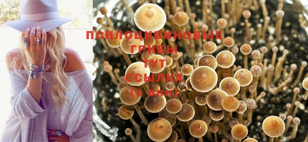 тгк Абаза