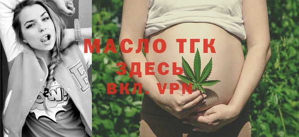 тгк Абаза